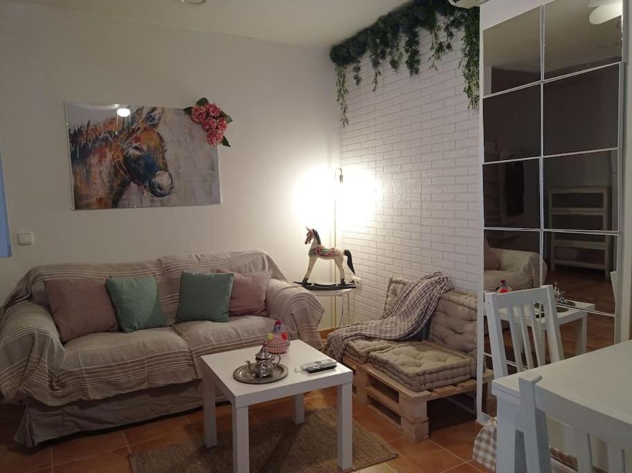 Precioso Loft En El Centro De Cordoba. 아파트 외부 사진